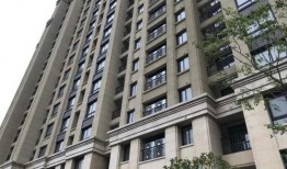 都市花园爆料最新消息新闻,揭秘神秘事件背后的真相