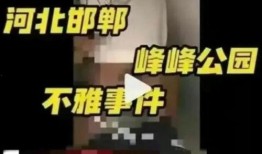 峰峰最新爆料视频,精彩瞬间一网打尽