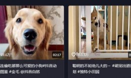 抖音狗崽爆料视频大全集,揭秘网络热点背后的真相